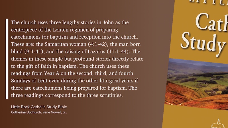 Homily Topics
