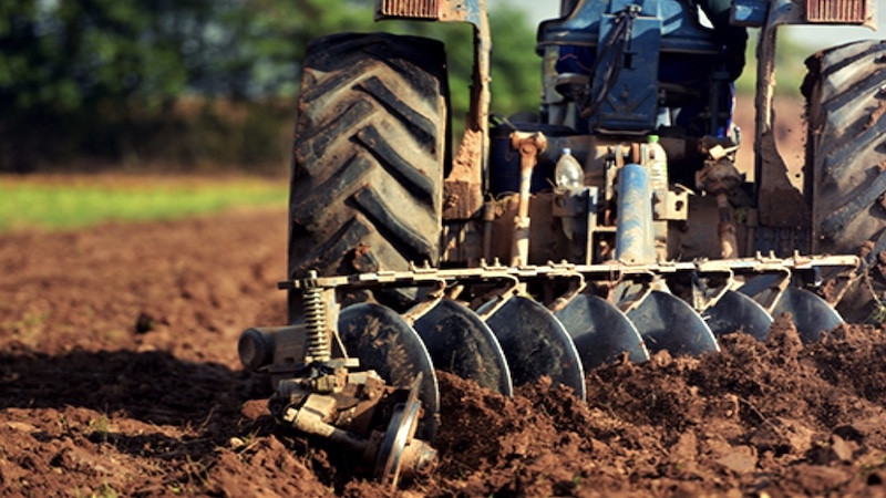 SAINTS – Ascension