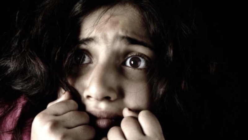 HOMILIES - 12th Sunday of Year A