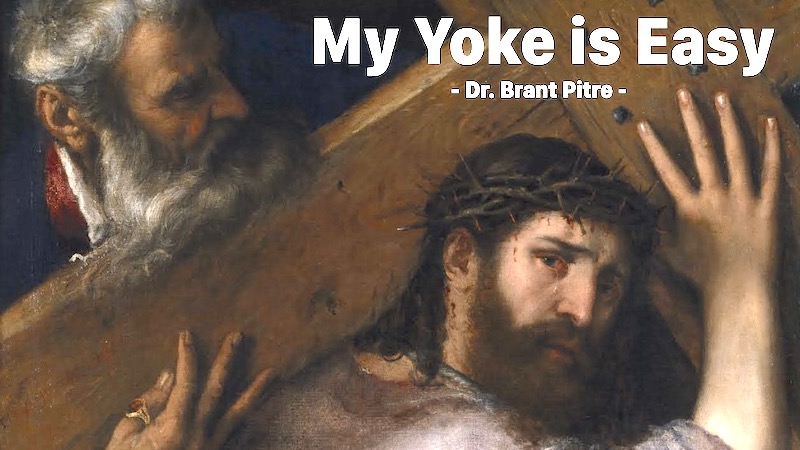 COMMENTARY – 14th Sunday of Year A