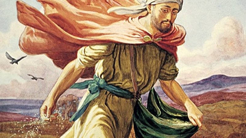 HOMILIES - 15th Sunday of Year A