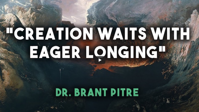 COMMENTARY – 15th Sunday of Year A