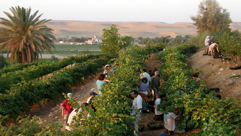 HOMILIES - 25th Sunday of Year A