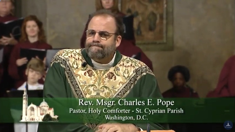 HOMILIES - 33rd Sunday of Year A