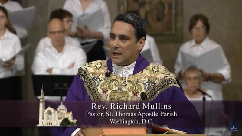 HOMILIES - 2nd Sunday of Advent B