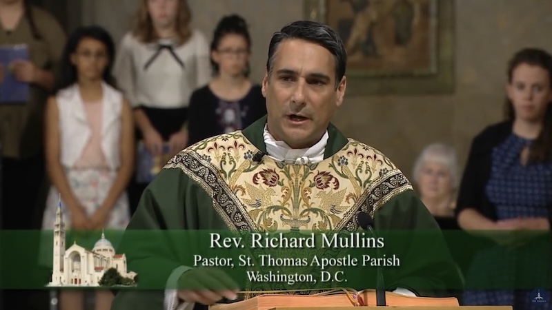 HOMILIES - 2nd Sunday of Year B