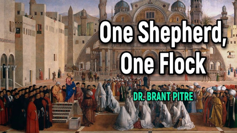 COMMENTARY - 4th Sunday of Easter B