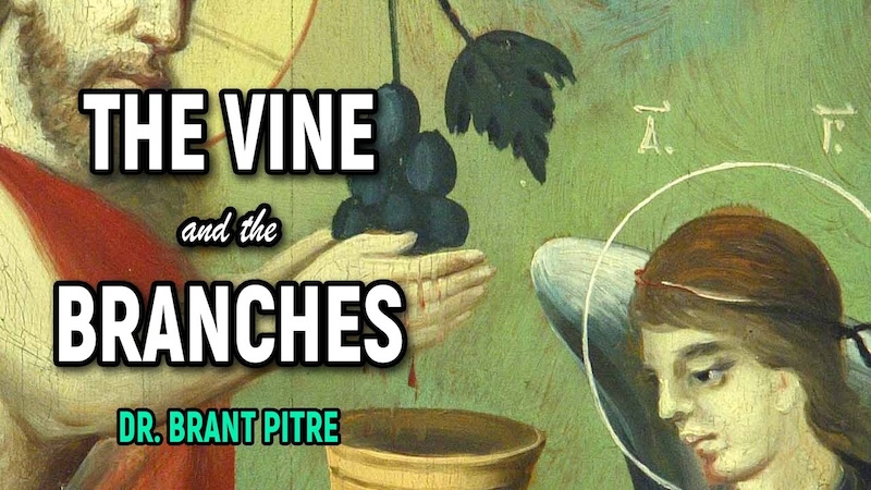 COMMENTARY - 5th Sunday of Easter B