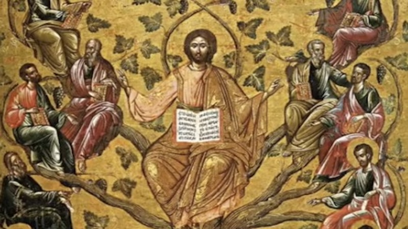 CONNECTIONS - 5th Sunday of Easter B