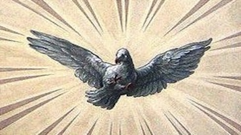 COMMENTARY - Pentecost B