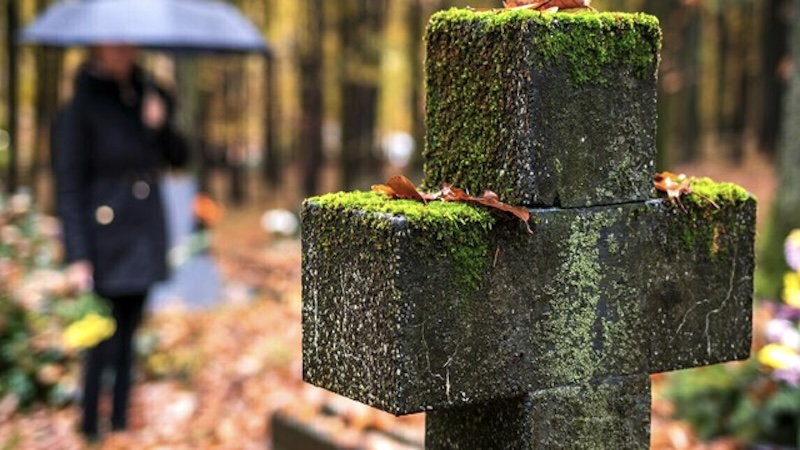 HOMILIES - 13th Sunday of Year B