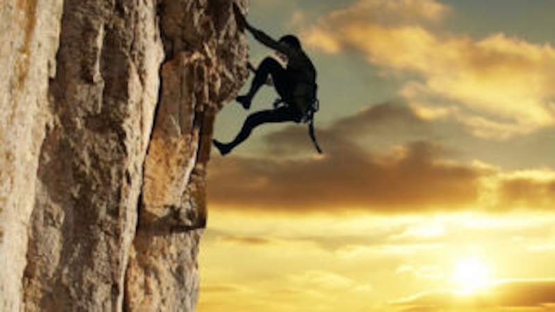 HOMILIES - 14th Sunday of Year B