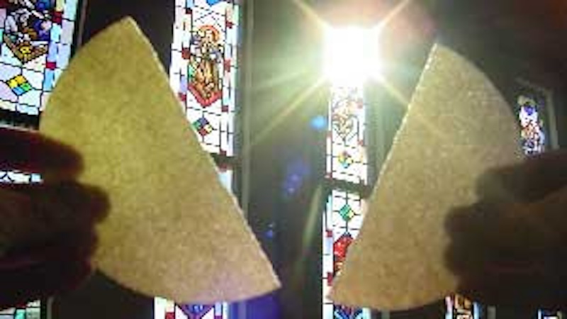 HOMILIES - 17th Sunday of Year B