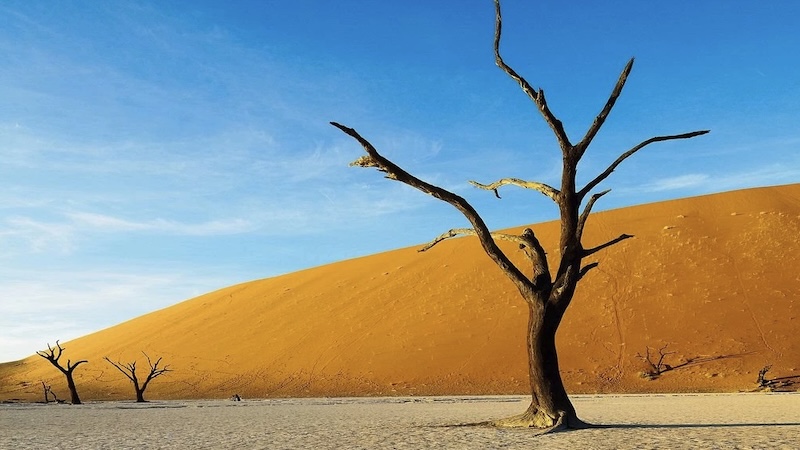 HOMILIES - 1st Sunday of Lent C