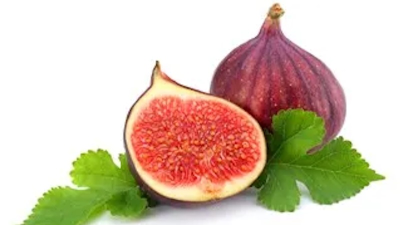 HOMILIES - 3rd Sunday of Lent C