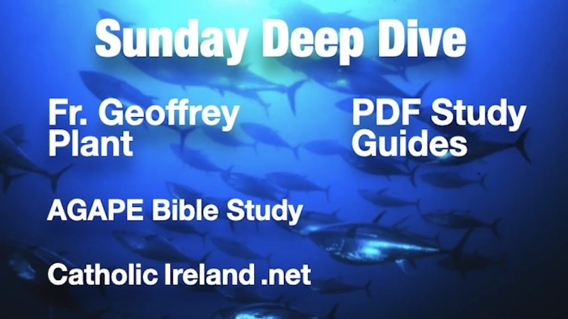 COMMENTARY - Ascension C