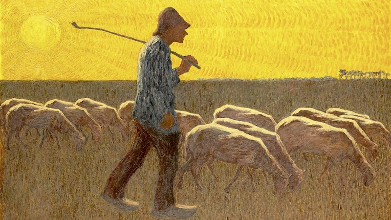 HOMILIES - 4th Sunday of Easter C