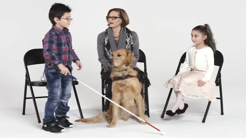 CHILDREN - 15th Sunday of Year C