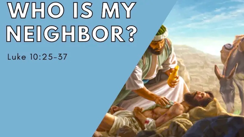 HOMILIES - 15th Sunday of Year C