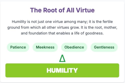 HOMILY STARTERS – 22nd Sunday of Year C - The Word This Week