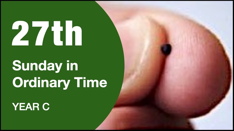 COMMENTARY - 27th Sunday of Year C