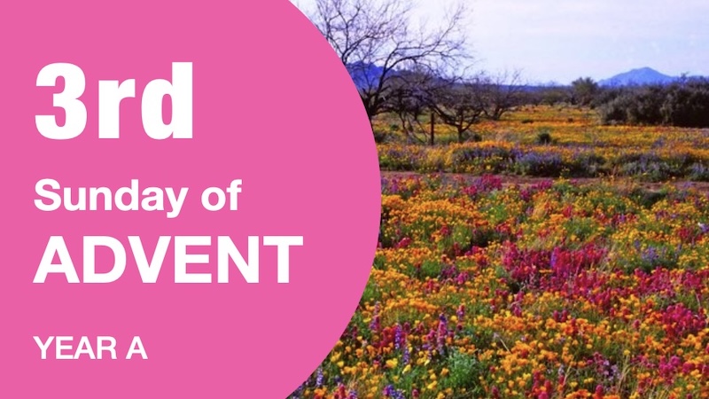COMMENTARY - 3rd Sunday of Advent (A)