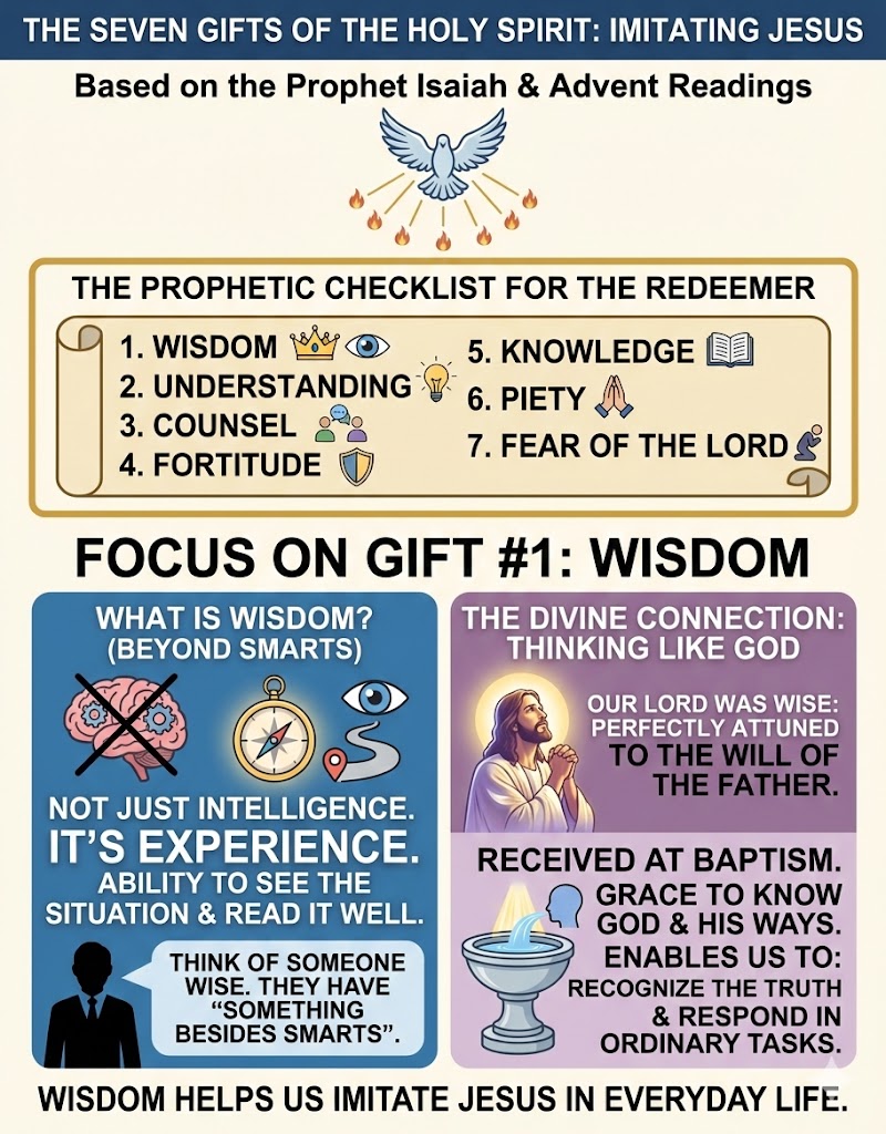 Infographic about the seven gifts of the Holy Spirit with a focus on wisdom, featuring a checklist and definitions of wisdom, understanding, counsel, fortitude, knowledge, piety, and fear of the Lord.
