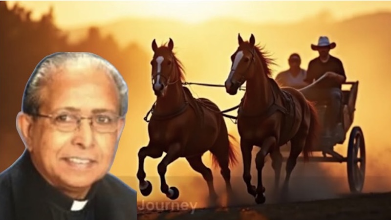 FR. TONY'S HOMILY – 6th Sunday of Year A