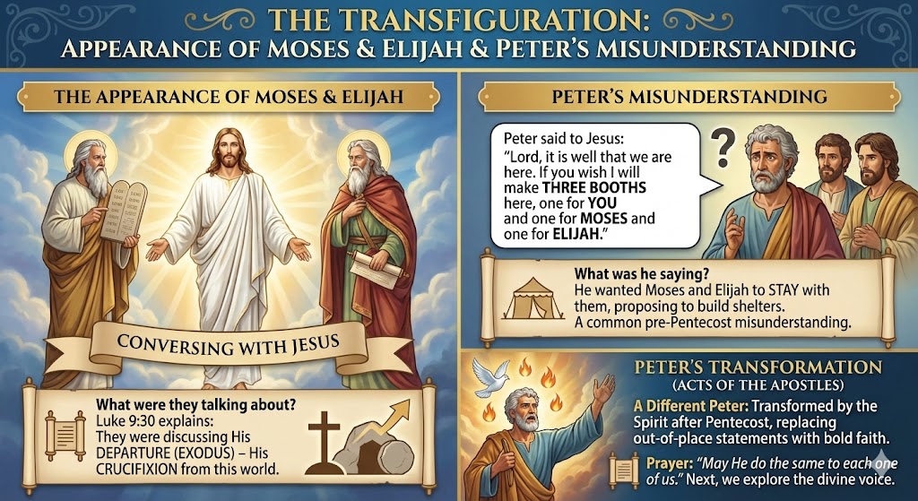 An infographic depicting the Transfiguration of Jesus with Moses and Elijah conversing, highlighting Peter's misunderstanding and transformation after Pentecost.
