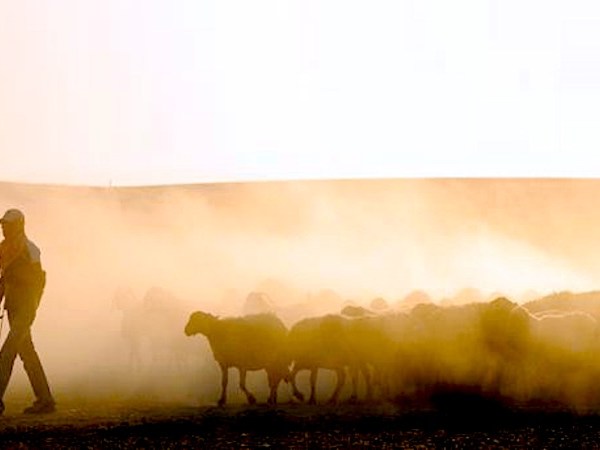 HOMILIES – 4th Sunday of Easter (A)