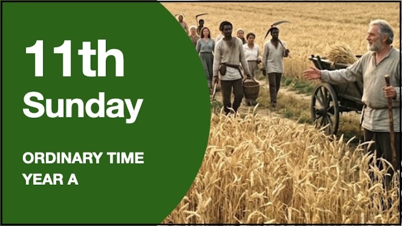 LITURGY PLANNER – 11th Sunday in Ordinary Time (A)