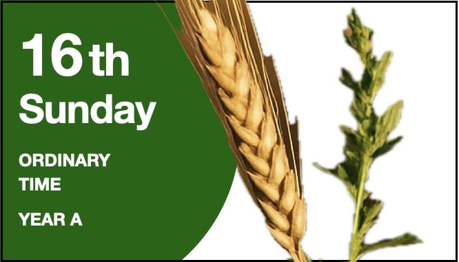 LITURGY PLANNER – 16th Sunday in Ordinary Time (A)