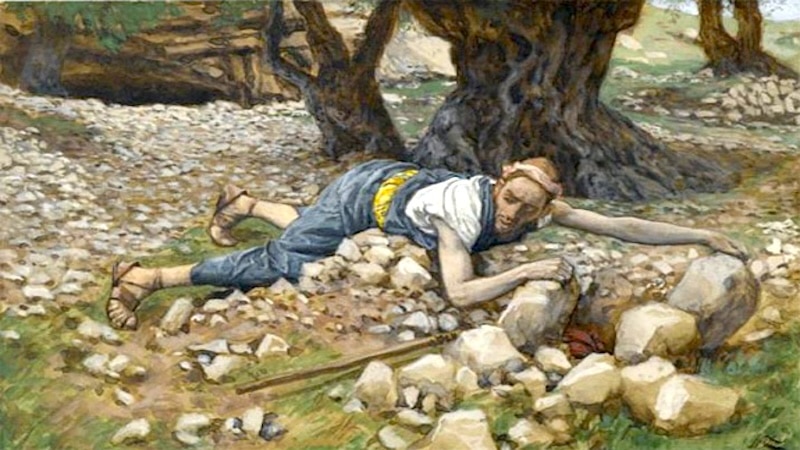 HOMILIES – 17th Sunday in Ordinary Time (A)