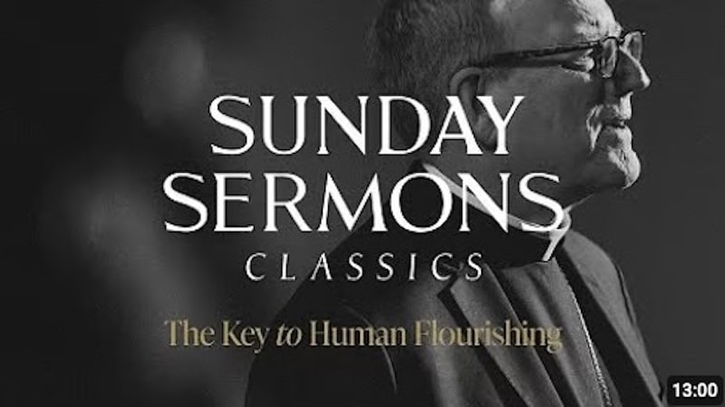BISHOP BARRON – 27th Sunday in Ordinary Time (A)